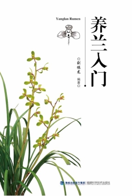 养兰入门