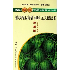 袖珍西瓜亩创4000元关