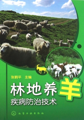 林地养羊疾病防治技术
