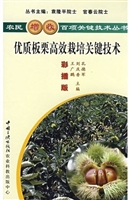 优质板栗高效栽培关键