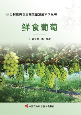 鲜食葡萄