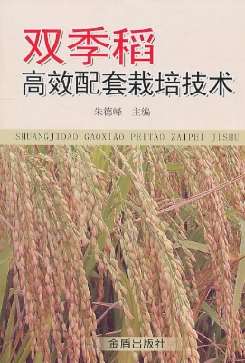 双季稻高效配套栽培技