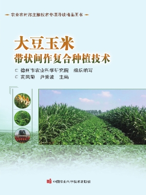 大豆玉米带状间作复合