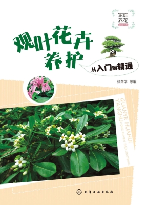 观叶花卉养护从入门到