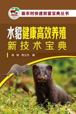 水貂健康高效养殖新技