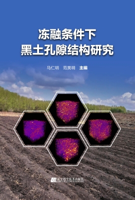 冻融条件下黑土孔隙结
