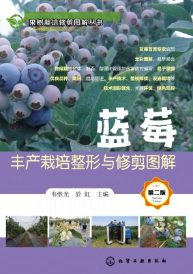 蓝莓丰产栽培整形与修