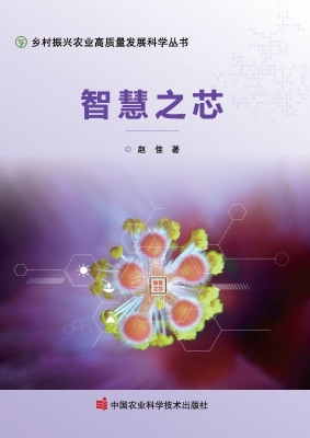 智慧之芯