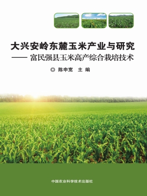 大兴安岭东麓玉米产业
