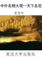 中外名物大观--天下名