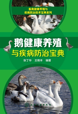 鹅健康养殖与疾病防治