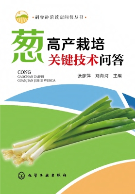 葱高产栽培关键技术问