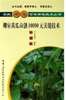 棚室黄瓜亩创10000元