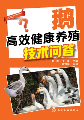 鹅高效健康养殖技术问