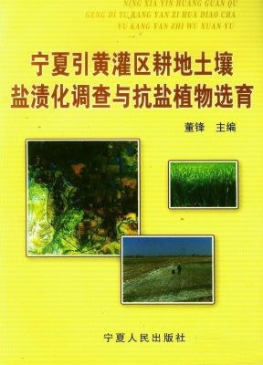 宁夏引黄灌区耕地土壤