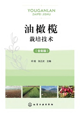 油橄榄栽培技术（全彩版