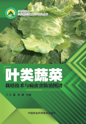 叶类蔬菜栽培技术与病