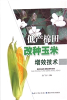 低产棉田改种玉米增效
