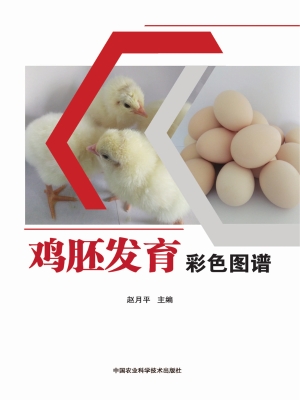 鸡胚发育彩色图谱