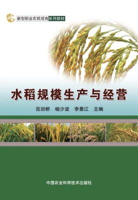 水稻规模生产与经营