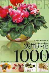 实用养花1000问（升级版