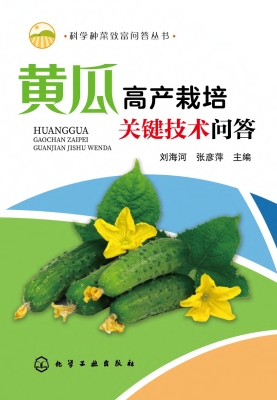 黄瓜高产栽培关键技术