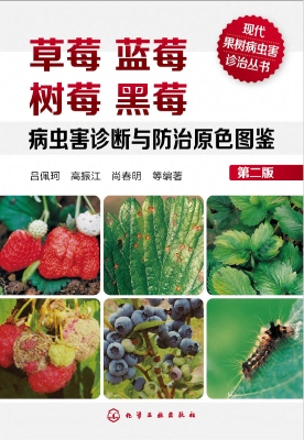 草莓 蓝莓 树莓 黑莓