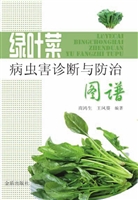 绿叶菜病虫害诊断及防