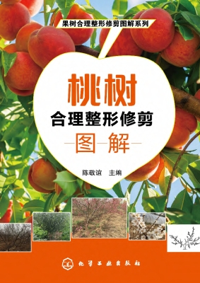 桃树合理整形修剪图解