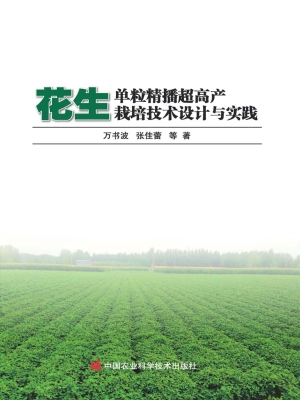 花生单粒精播超高产栽