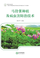 马铃薯种植及病虫害防