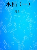 水稻（一）