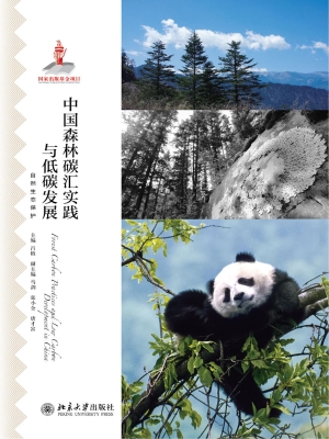 中国森林碳汇实践与低