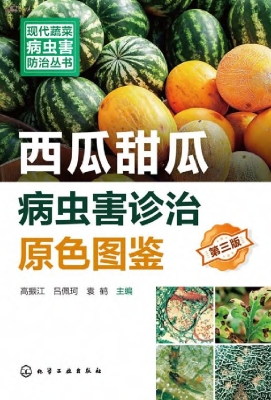 西瓜甜瓜病虫害诊治原