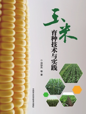 玉米育种技术与实践