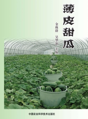 薄皮甜瓜