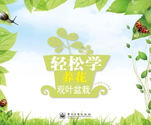 轻松学养花——观叶盆