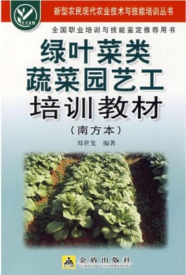 绿叶菜类蔬菜园艺工培
