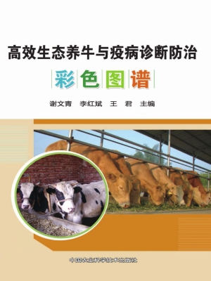 高效生态养牛与疫病诊