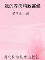 我的养肉鸡致富经