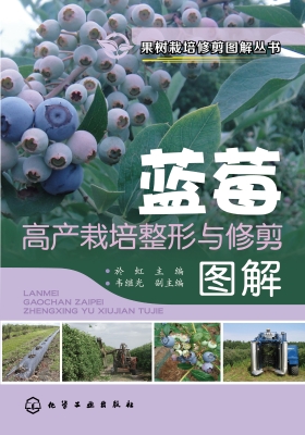 蓝莓高产栽培整形与修