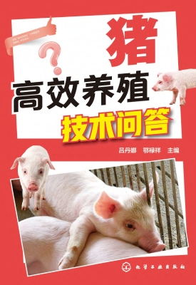 猪高效养殖技术问答