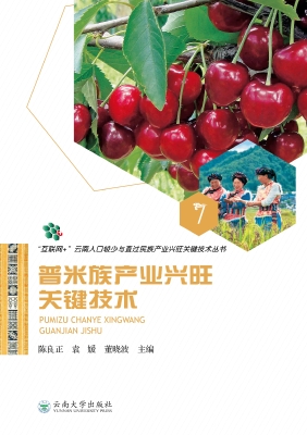 普米族产业兴旺关键技
