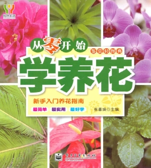 从零开始学养花