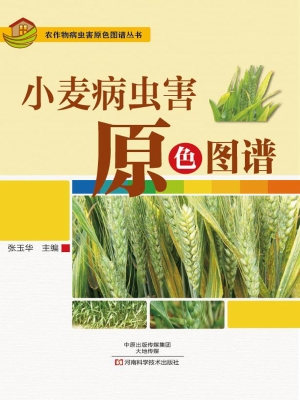 小麦病虫害原色图谱