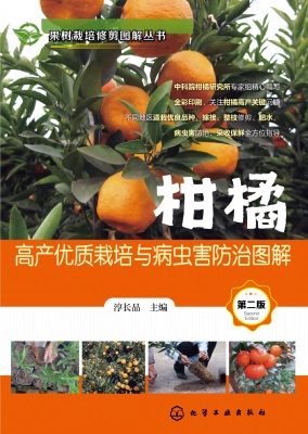 柑橘高产优质栽培与病