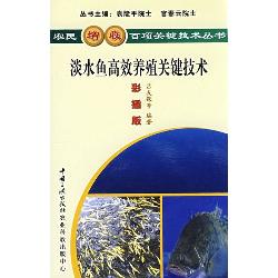 淡水鱼高效养殖关键技