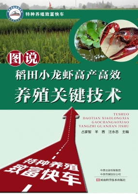 图说稻田小龙虾高产高