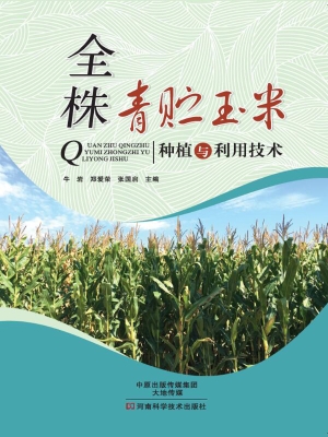 全株青贮玉米种植与利