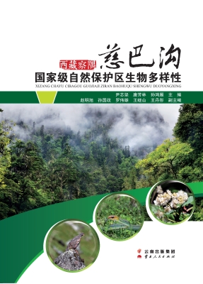 西藏察隅慈巴沟国家级